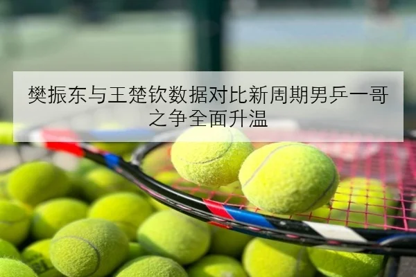 樊振东与王楚钦数据对比新周期男乒一哥之争全面升温